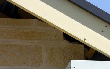 soffit repair Bagley Marsh
